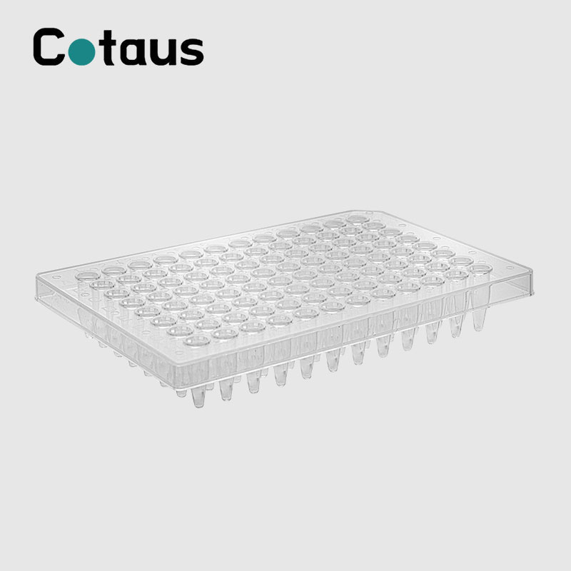 Was ist eine PCR-Platte