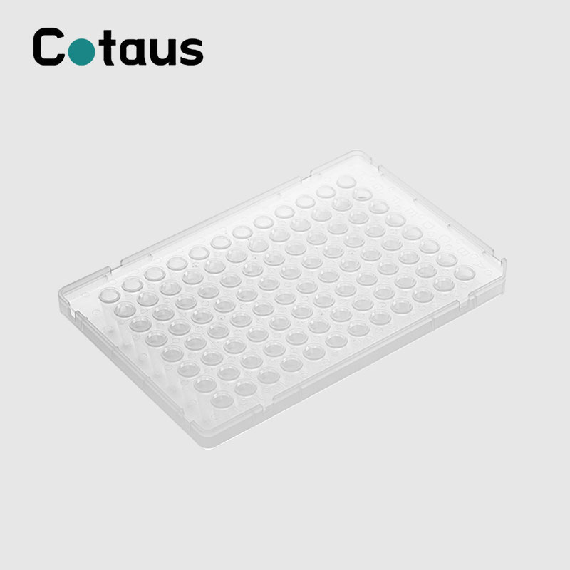 96-Well-0,1-ml-PCR-Platte mit zweifarbigem Vollrand