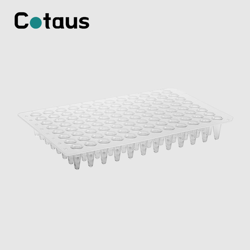 96 Well 0,1 ml transparente PCR-Platte ohne Rand