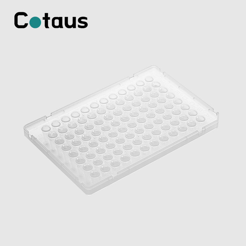 96 Well 0,1 ml weiße PCR-Platte mit vollem Rand