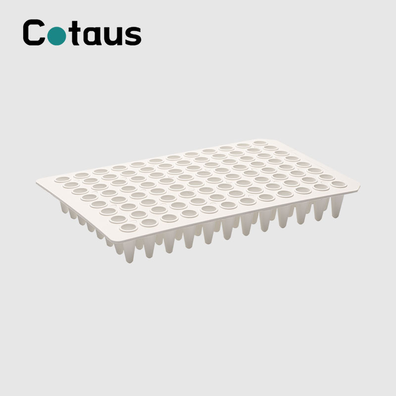 96 Well 0,1 ml weiße PCR-Platte ohne Rand