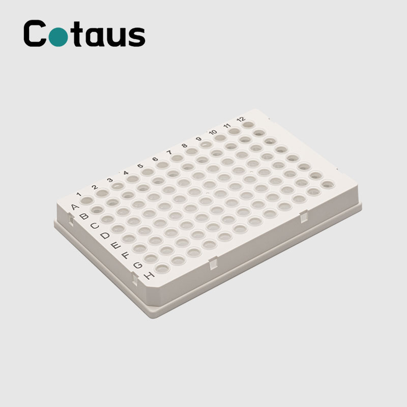 96 Well 0,2 ml zweifarbige Vollrand-PCR-Platte