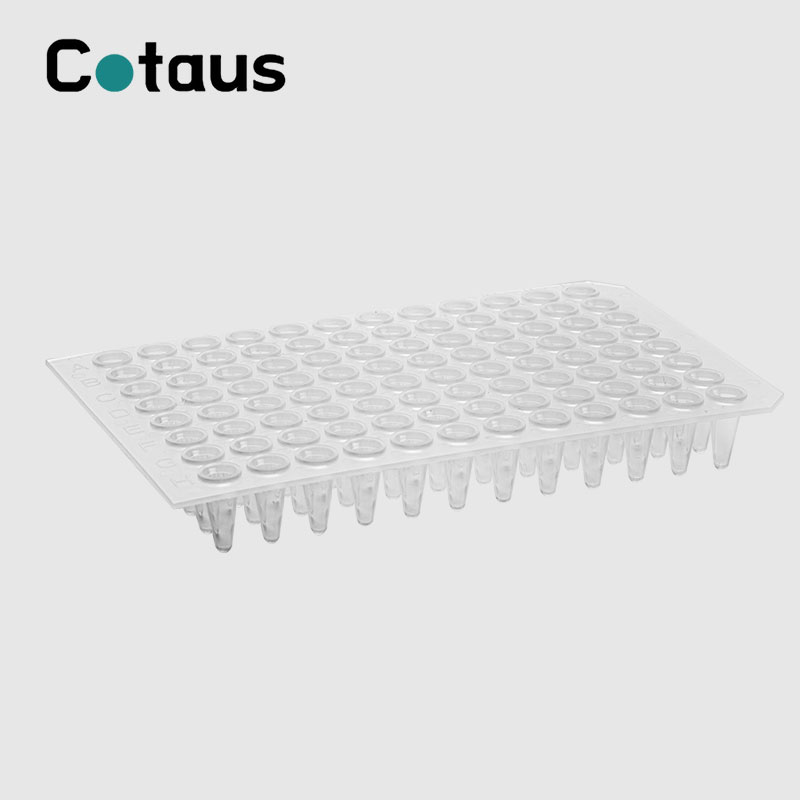 96 Well 0,2 ml transparente PCR-Platte ohne Rand